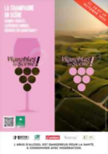 photo VIGNOBLES EN SCÈNE - ACCORDS & SCÈNE DANS LA JOIE DE VIGNE AU MAS LA MARCHETTE
