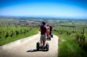photo Vignoble en Scène Alsace : Balade dans le vignoble en gyropode Segway