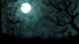 photo Les secrets de ces mystérieuses chauve-souris
