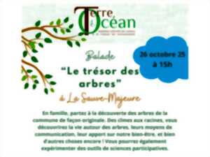 photo Balade « Le trésor des arbres » à La Sauve