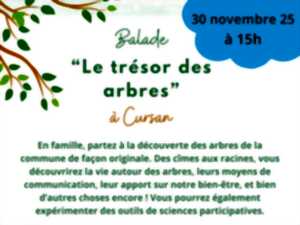 photo Balade « Le trésor des arbres »