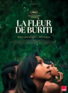 photo *LA FLEUR DE BURITI