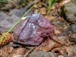 photo Dix ans d'archéologie dans la vallée de la Bruche