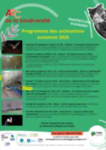 photo Arbre et biodiversité