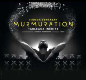 photo Sadeck Berrabah : Murmuration level 2