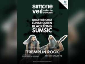 photo Tremplin rock