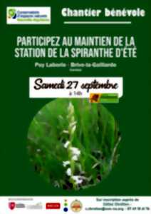 photo Chantier bénévole: Maintien de la station de la Spiranthe d'été