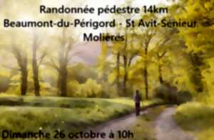 photo Bastides en fête I Randonnée pédestre entre les bastides de Beaumont-du Périgord et de Molières