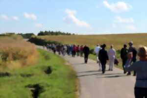 photo Marche des vignerons