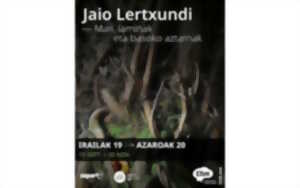 photo Exposition de Jaio Lertxundi : Mari, les laminak et les traces de la forêt