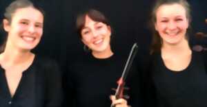 photo Concert Animalia
