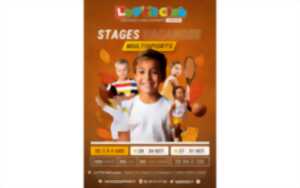 photo Stages multisports enfants 