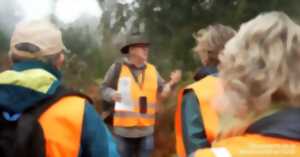 photo Balade-conférence en forêt