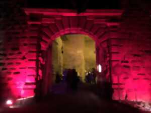 photo Montée en lumière vers le Château du Haut-Barr