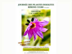 photo Journée des plantes insolites 3e édition
