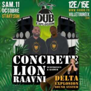 photo Concert Dub Explosion