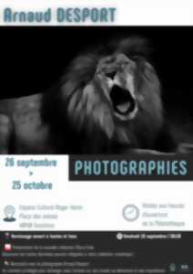photo Exposition photographies // Arnaud Desportes