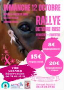 photo Vide-greniers - Octobre rose