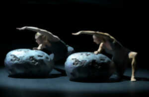 photo Malandain Ballet Biarritz - La Chambre d'Amour