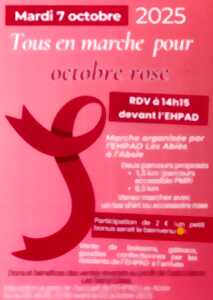 photo Octobre Rose - Tous en marche pour Octobre Rose