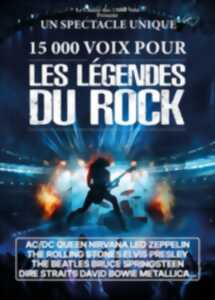 photo 15 000 voix pour les légendes du rock à l'Acclameur de Niort