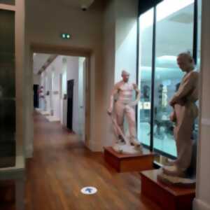 photo Le musée en famille - Les géants du musée