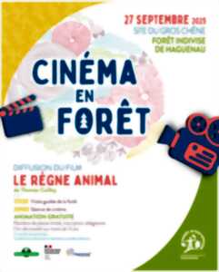 photo Cinéma en forêt