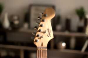 photo Puces musicales