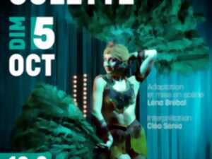 photo Spectacle Music-Hall Colette