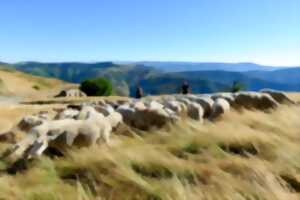 photo CONVERSATION CROISÉE SUR L’AGROPASTORALISME