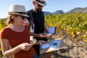 photo VIGNOBLES EN SCENE - ESCAPE GAME DANS LES VIGNES AVEC VINO ENIGMA