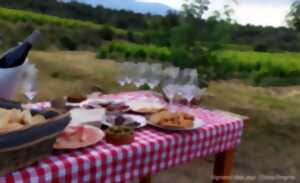 photo VIGNOBLES EN SCENE - VIGNERON D'UN JOUR AVEC VINO ENIGMA