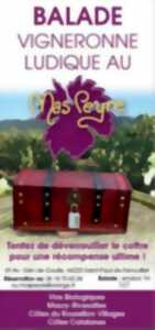 photo VIGNOBLES EN SCENE - BALADE VIGNERONNE CHEZ MAS PEYRE