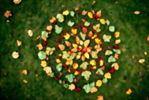 photo Animation : À la découverte du land art