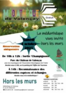 La médiathèque vous invite hors les murs