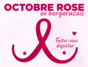 photo Octobre Rose | Vide-grenier