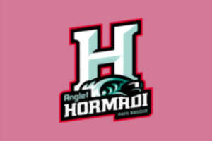 photo Hockey sur glace : Anglet Hormadi - Rouen