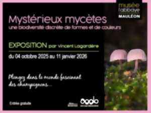 photo Conférence sur les champignons
