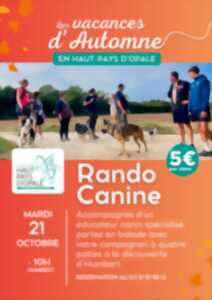 photo Rando Canine Haut-Pays d'Opale