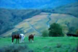 photo Randonnée à cheval