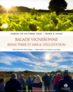 photo BALADE GOURMANDE