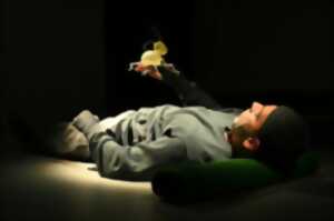 photo MINIMUS OU LE COLLEMBOLE, UN VIVANT SOUS NOS PAS