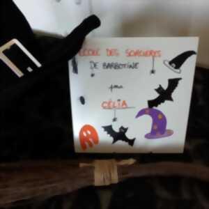 photo Halloween au musée - Barbotine à l'école de magie