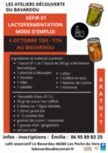 photo Les Ateliers Découverte du Bavardou : Kéfir et lactofermentation, mode d'emploi