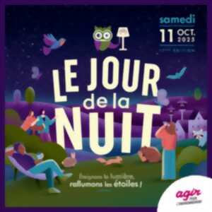 photo Le Jour de la Nuit