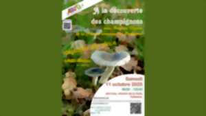 photo Sortie champignons