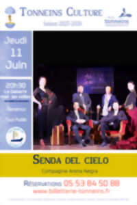 photo Flamenco - 
