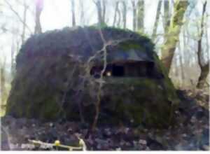 photo Vestige de guerre en forêt