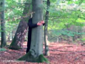 photo Sylvothérapie ou bien-être par la forêt