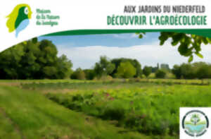 photo Aux Jardins du Niederfeld Découvrir L'agroécologie